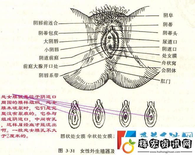 “大”不是問題