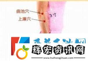 尋找白虎**