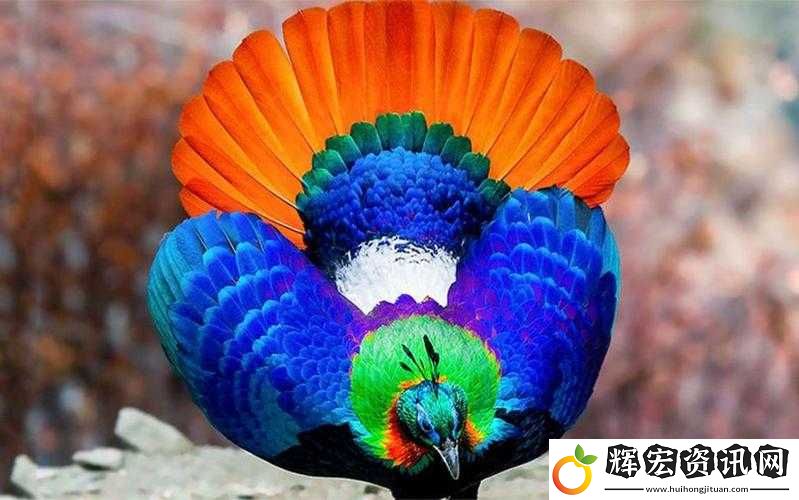 九色