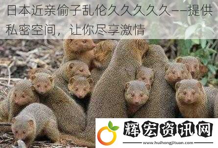 日本近親偷子**久久久久久——提供私密空間，讓你盡享激情