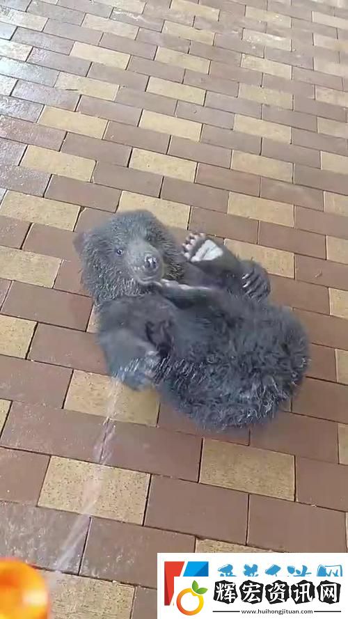 啊