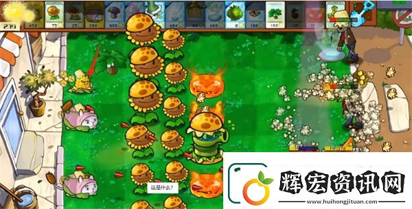 植物大戰(zhàn)僵尸雜交版星光閃卡玉米旋轉(zhuǎn)機(jī)介紹