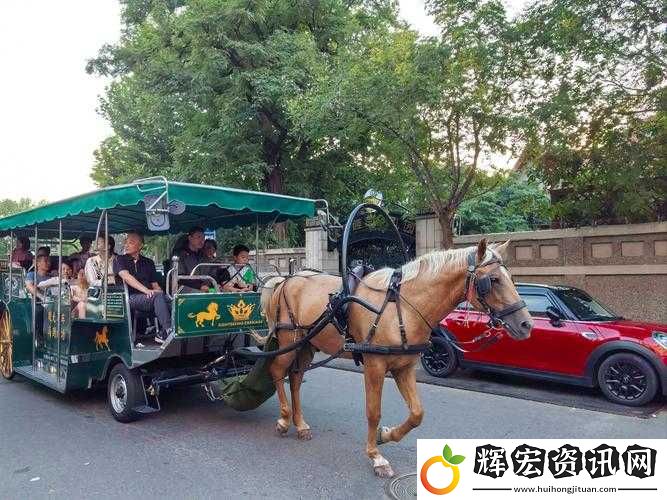 馬車上的歡樂