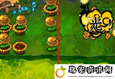 植物大戰僵尸雜交版冒險模式63過關攻略
