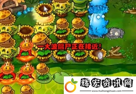 植物大戰僵尸雜交版冒險模式62通關方式