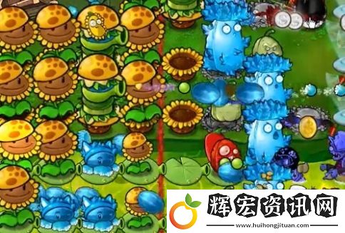 植物大戰僵尸雜交版冒險模式63過關攻略