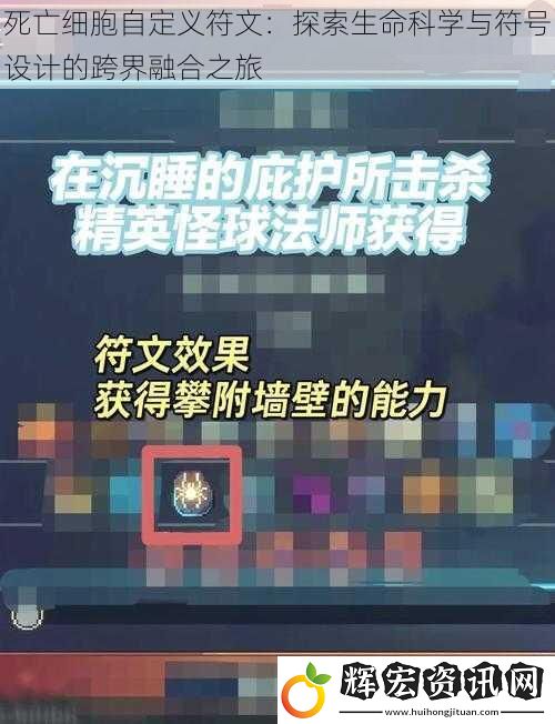 死亡細胞自定義符文：探索生命科學與符號設計的跨界融合之旅