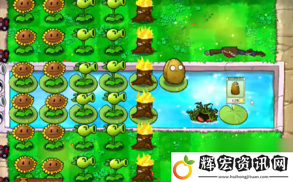 植物大戰僵尸抽卡版冒險模式3