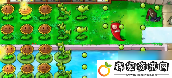 植物大戰僵尸抽卡版冒險模式3