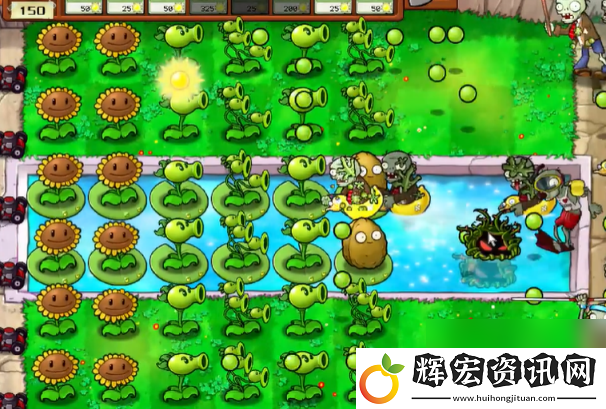 植物大戰僵尸抽卡版冒險模式3
