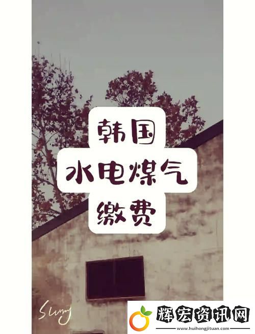 解析好看的韓國三色電費的背后故事與設計靈感