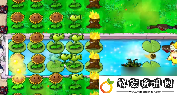 植物大戰僵尸抽卡版冒險模式3