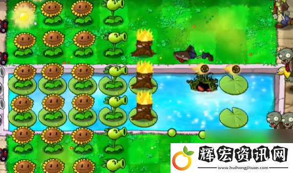 植物大戰僵尸抽卡版冒險模式3