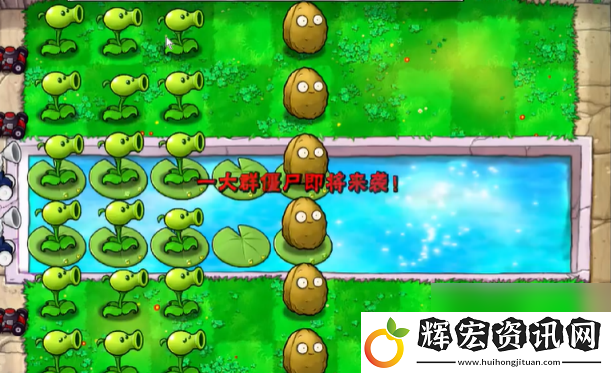 植物大戰僵尸抽卡版冒險模式3
