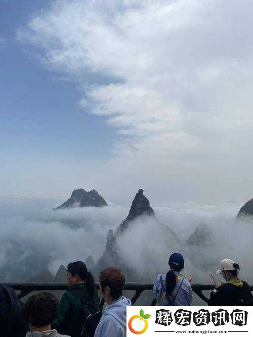 戶外插