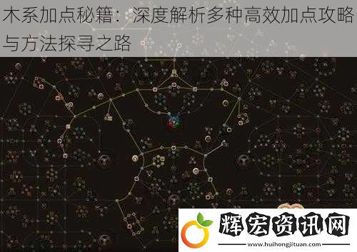 木系加點秘籍：深度解析多種高效加點攻略與方法探尋之路