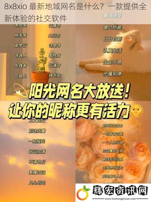 8x8xio 最新地域網名是什么？一款提供全新體驗的社交軟件