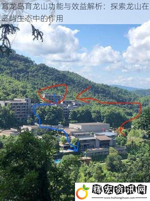 育龍島育龍山功能與效益解析：探索龍山在島嶼生態(tài)中的作用