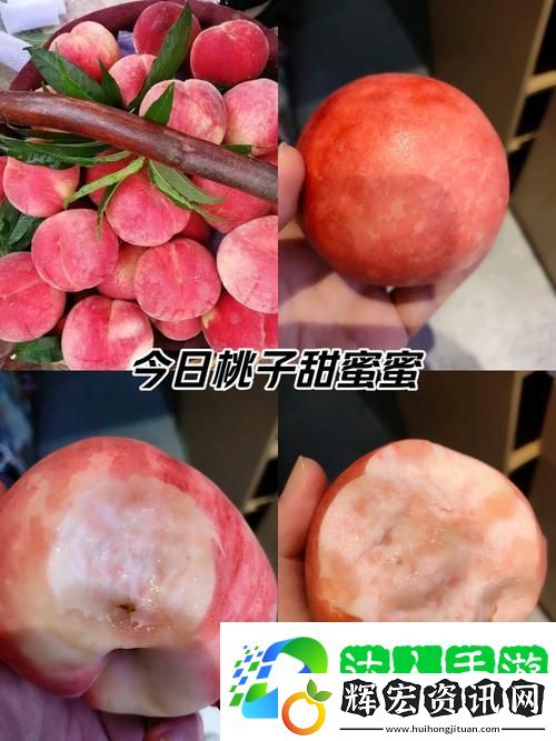 蜜桃站www難道不值得一試嗎