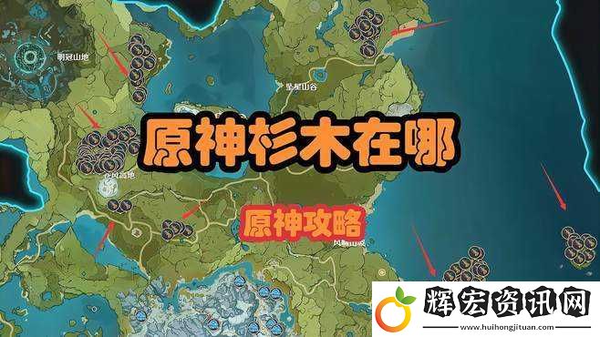 原神游戲內杉木刷新位置全面大揭秘