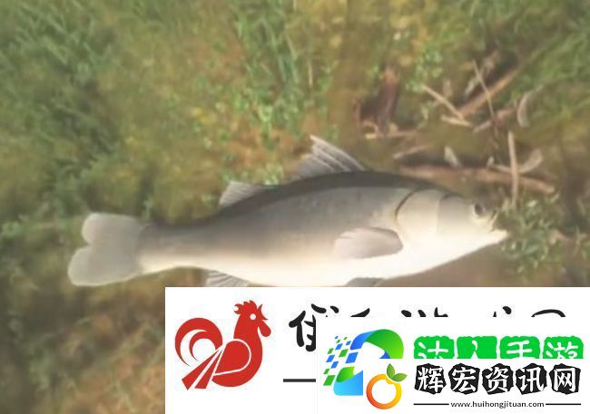 古劍奇譚3鱸魚獲取方法