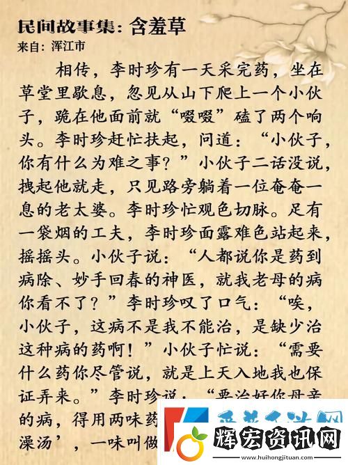 深入淺出含羞草免費觀看電視劇的背景故事