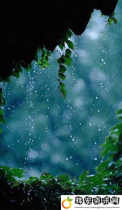 下面濕漉漉的像是剛下過(guò)雨