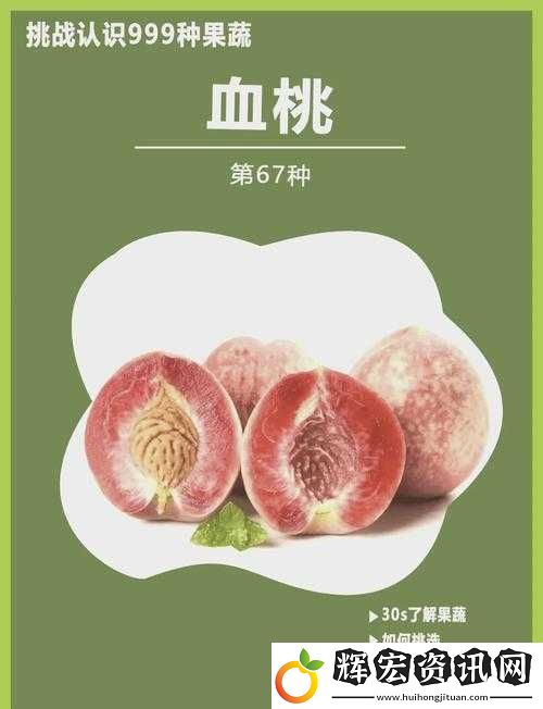 無人一區二區區別是什么紅桃