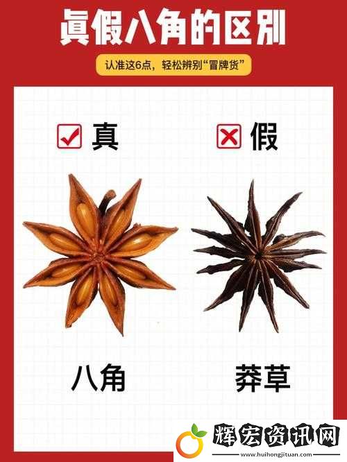 江南百景圖八角香料獲取全攻略
