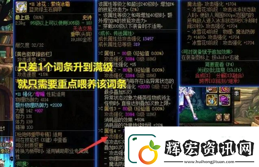dnf裝備怎么喂養