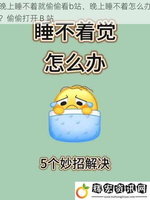 晚上睡不著就偷偷看b站、晚上睡不著怎么辦？偷偷打開 B 站