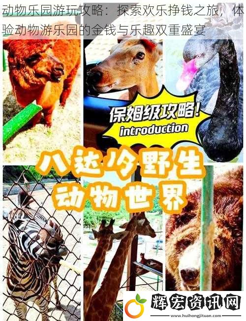 動物樂園游玩攻略：探索歡樂掙錢之旅，體驗動物游樂園的金錢與樂趣雙重盛宴