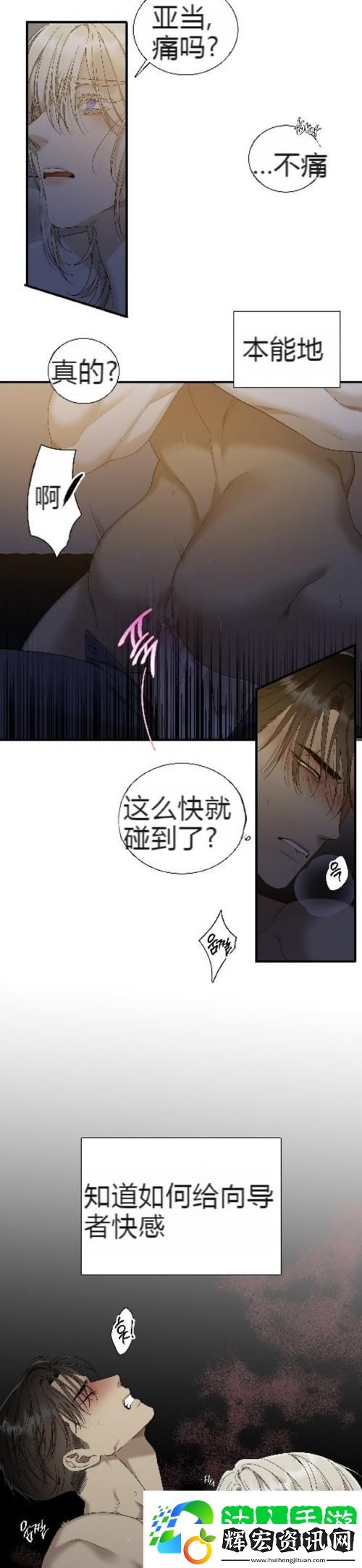 體驗“大肉大捧一進一出好爽MBA”的新視角