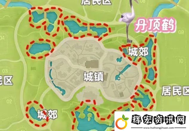 心動小鎮新春季第3周4只鳥位置