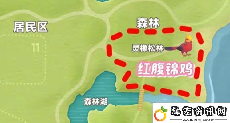心動小鎮新春季第3周4只鳥位置