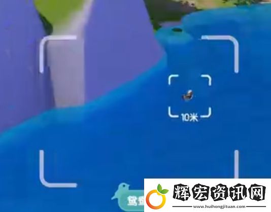 心動小鎮新春季第3周4只鳥位置