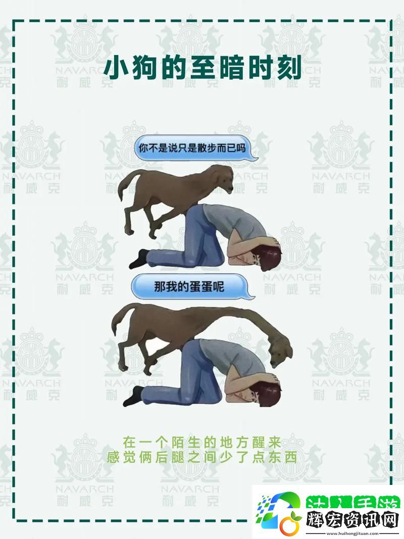 探索“跪下給主人當狗叫爸爸怎么喊”的心理深意