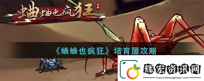 蛐蛐也瘋狂培育組合大全