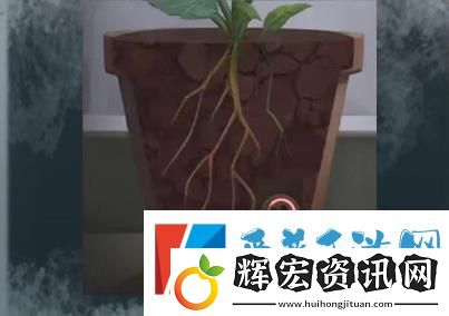 如月車站第二章怎么過