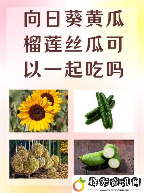 向日葵、黃瓜、榴蓮、絲瓜究竟能不能一起吃