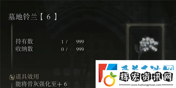艾爾登法環骨灰怎么升等級