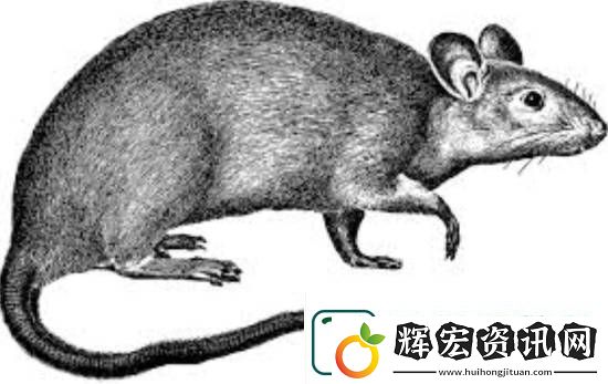 動保組織PETA抵制恐怖片諾斯費拉圖