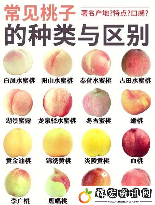 提問