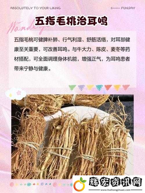 五指毛桃不適宜人群有哪些