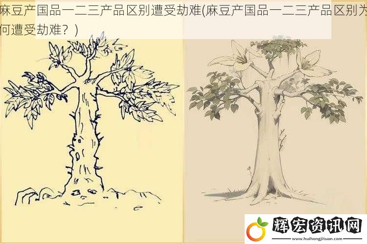 麻豆產國品一二三產品區別遭受劫難(麻豆產國品一二三產品區別為何遭受劫難？)