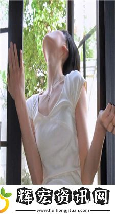 哪里有免費的網站推廣：提升流量的各種途徑