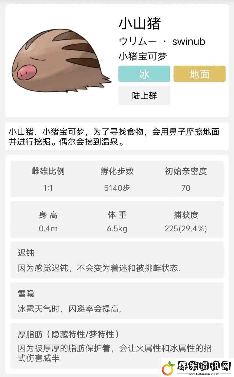 口袋妖怪復(fù)刻長(zhǎng)毛豬真相揭秘