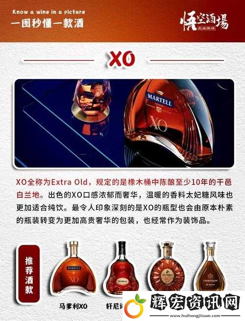 美國兩性XO到底有著怎樣的特點和影響