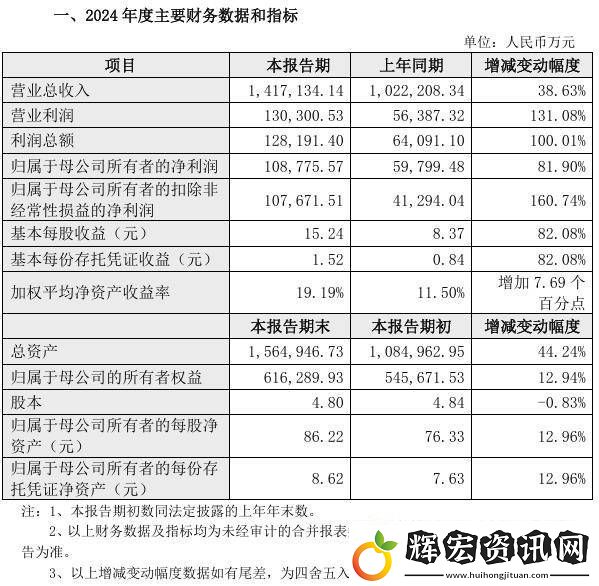九號公司2024年業績大增