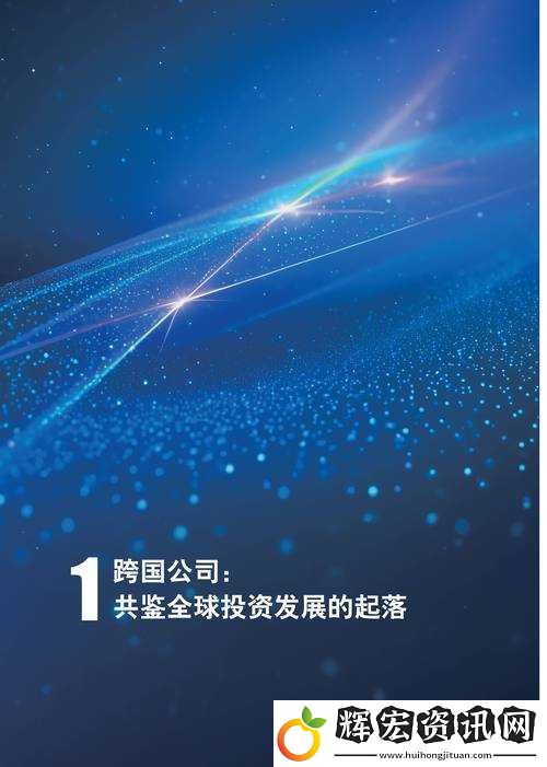 69XXX曰化探秘